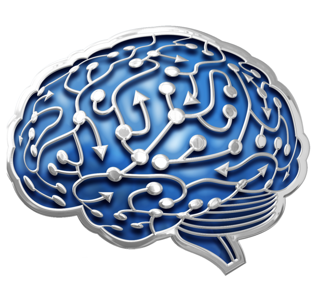 SBMT brain logo